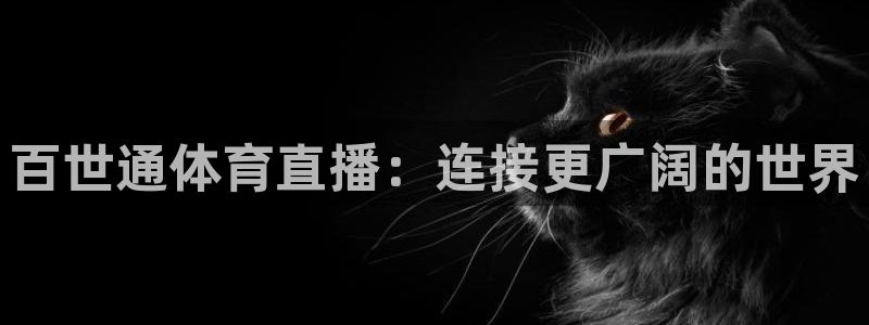 袋鼠体育免费直播：百世通体育直播：连接更广阔的世界