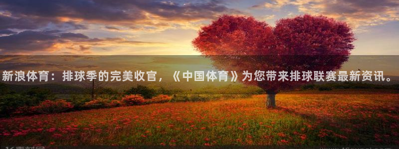 袋鼠直播：新浪体育：排球季的完美收官，《中国体育》为您带来排球联赛最新资讯。