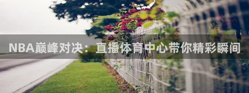 袋鼠在线体育直播