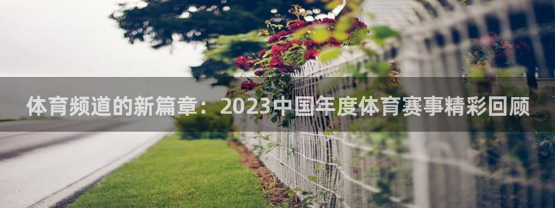 袋鼠体育直播看球：体育频道的新篇章：2023中国年度体育赛事精彩回顾