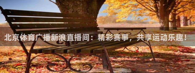 袋鼠看球直播：北京体育广播新浪直播间：精彩赛事，共享运动乐趣！