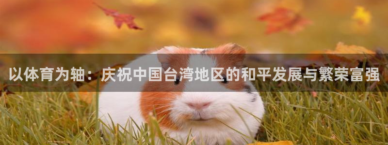 袋鼠体育直播：以体育为轴：庆祝中国台湾地区的和平发展与繁荣富强