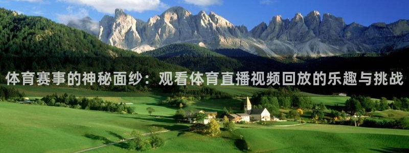 袋鼠直播看nba比赛：体育赛事的神秘面纱：观看体育直播视频回放的乐趣与挑战