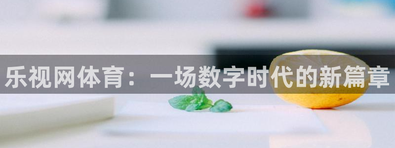 袋鼠看球直播：乐视网体育：一场数字时代的新篇章