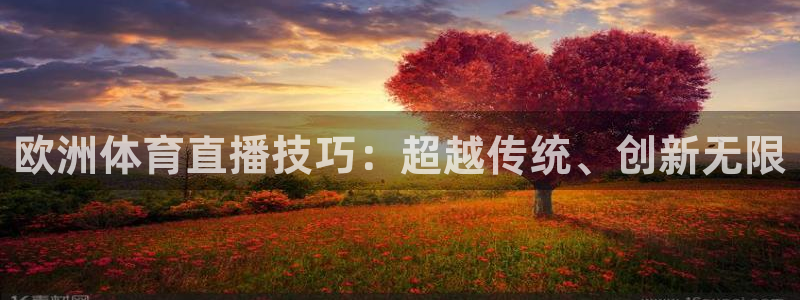 袋鼠直播体育.新网页.org：欧洲体育直播技巧：超越传统、创新无限
