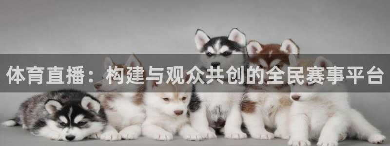 袋鼠直播体育在线观看：体育直播：构建与观众共创的全民赛事平台