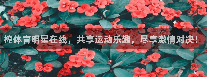 袋鼠直播nba在线看：榨体育明星在线，共享运动乐趣，尽享激情对决！