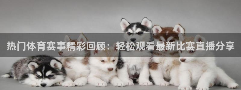 袋鼠体育直播官网：热门体育赛事精彩回顾：轻松观看最新比赛直播分享