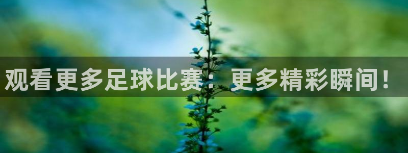 袋鼠直播篮球：观看更多足球比赛：更多精彩瞬间！